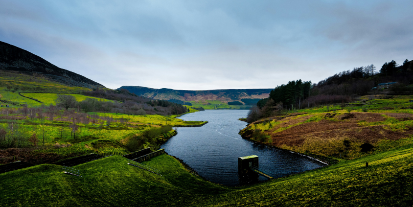 Wetland which tackles road pollution to be created